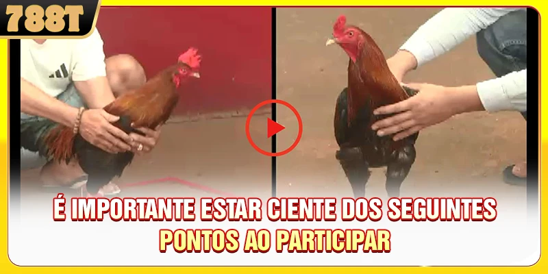 É importante estar ciente dos seguintes pontos ao participar