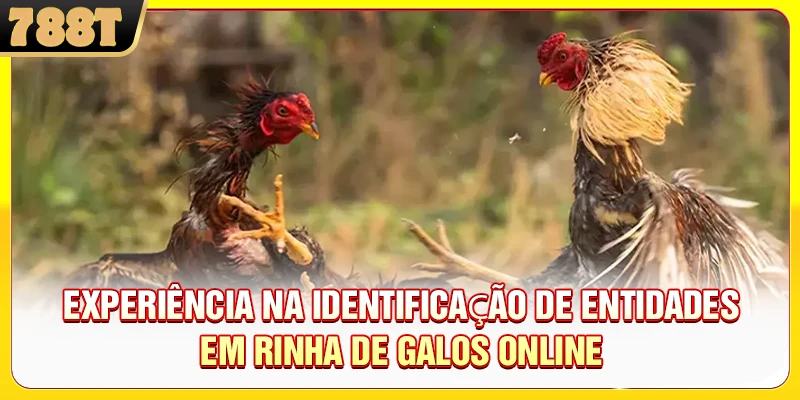 Experiência na identificação de entidades em rinha de galos online
