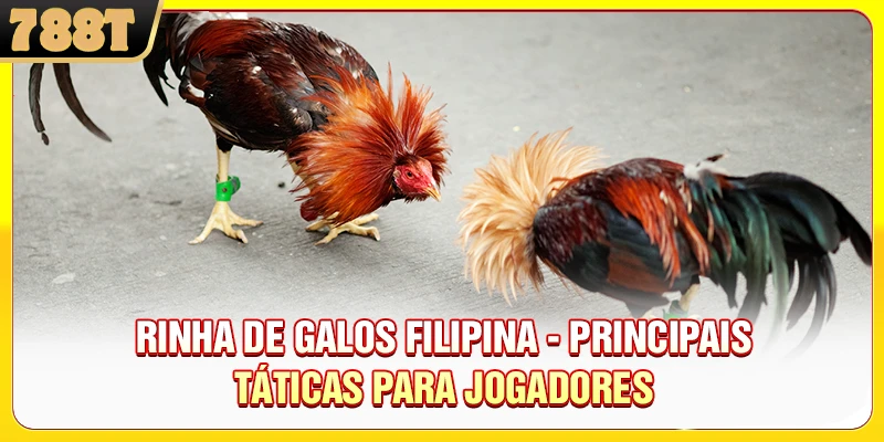 Rinha De Galos Filipina - Principais Táticas Para Jogadores