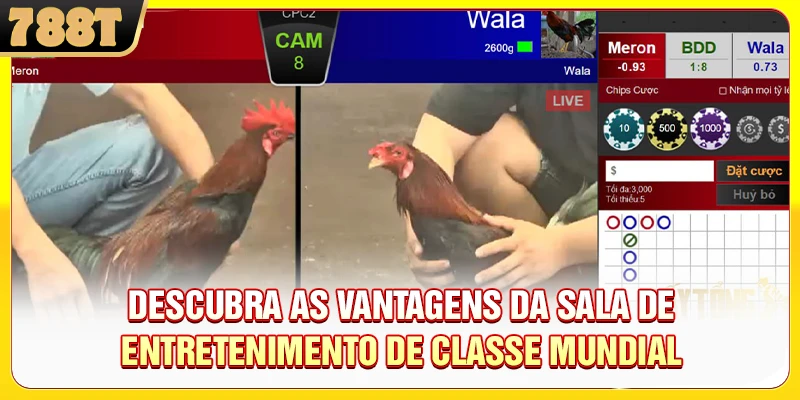 Descubra as Vantagens da Sala de Entretenimento de Classe Mundial