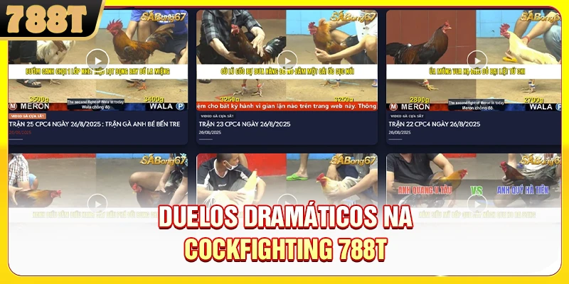 Duelos Dramáticos na Cockfighting 788T