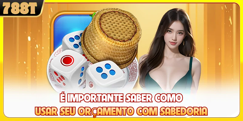 É importante saber como usar seu orçamento com sabedoria