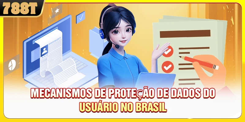 Mecanismos de proteção de dados do usuário no Brasil